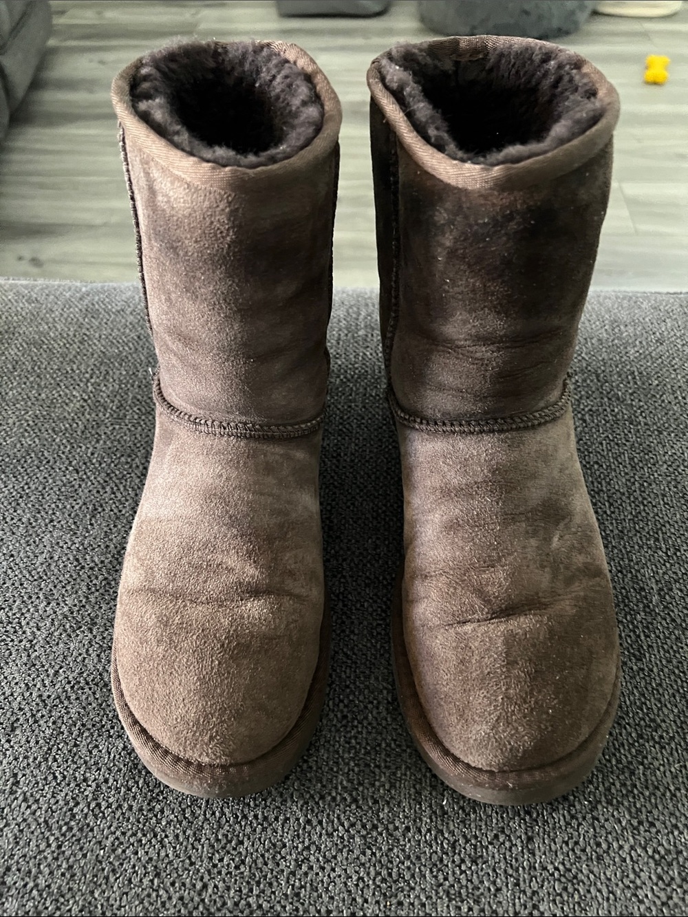 UGG Women's Short Winter Boots in Dark Brown Suede